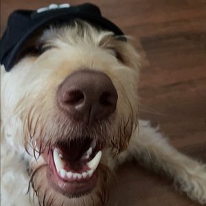 Meet your Posher, Jack